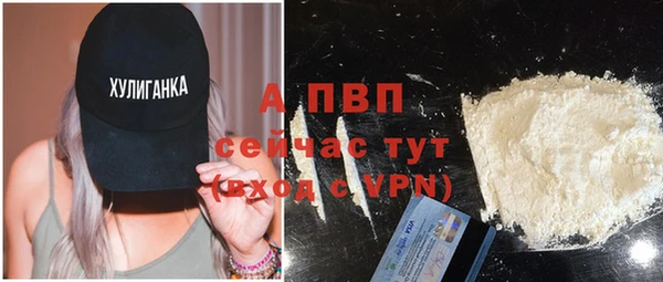сатива Чегем